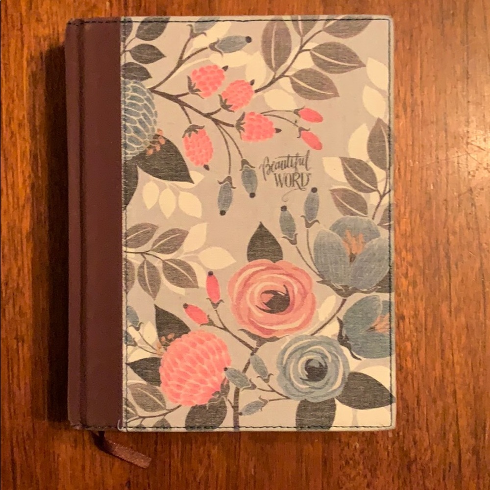 Zondervan journal bible
